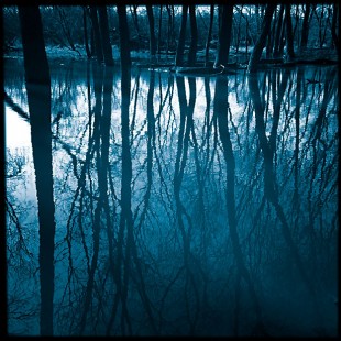 flooded_riverbank_3